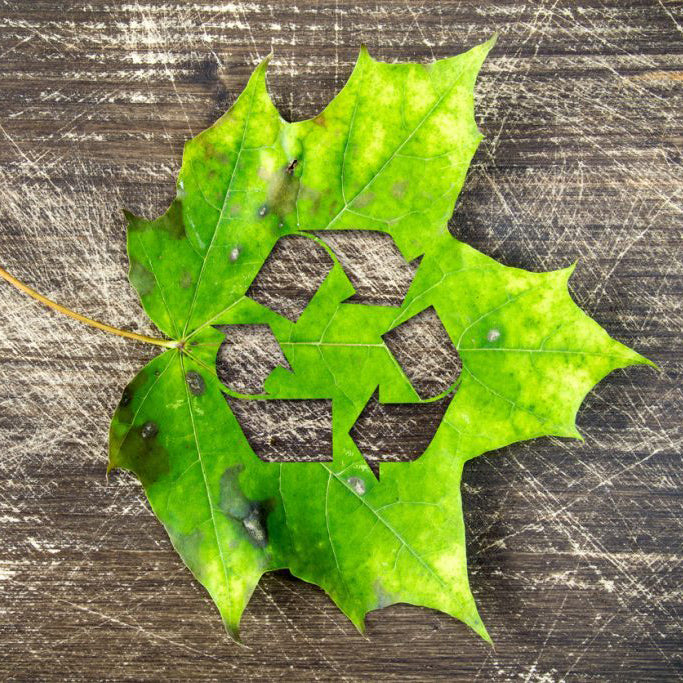 Plastic, paper or truth.