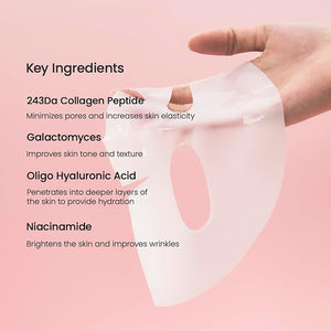 Biodance Collegen Mask Pack