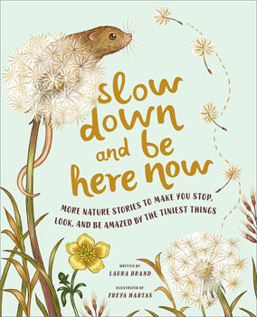 Slow Down and Be Here Now (Hardcover)