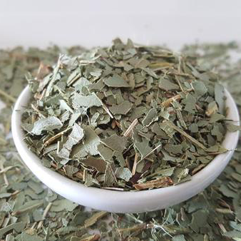 Dried Eucalyptus Leaves