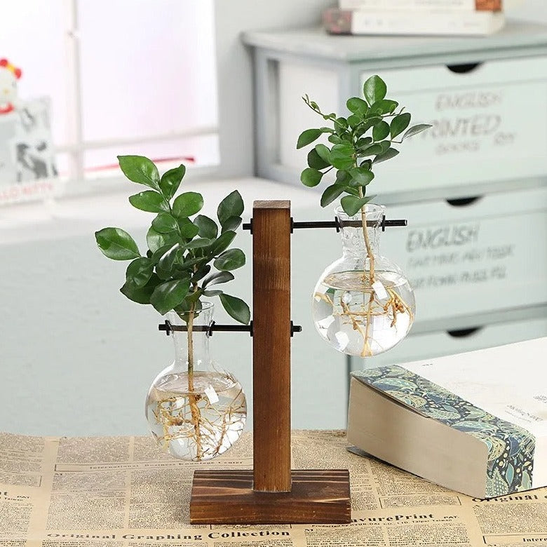 Terrarium Hydroponic Plant Vases