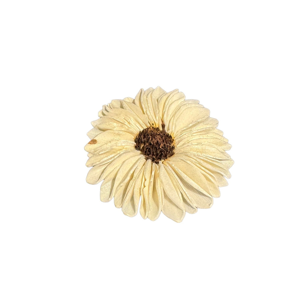 Reed Diffusing Flowers