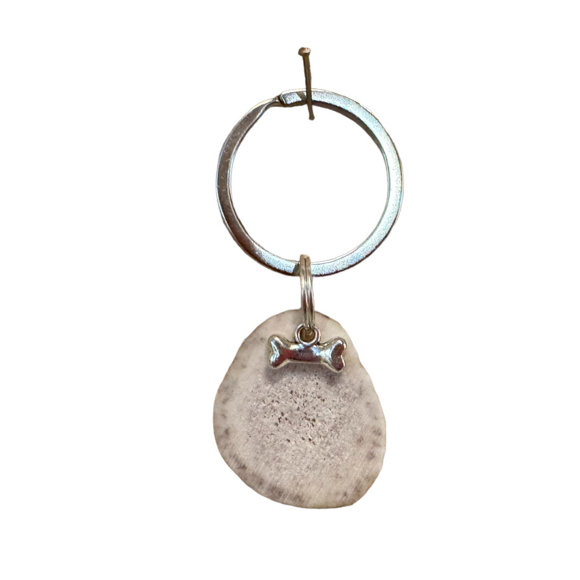 Diffusing Antler Dog Tags