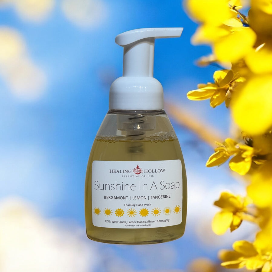 Foaming Hand Soap by Healing Hollow