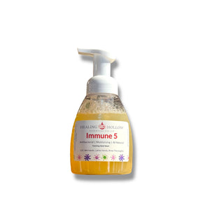 Foaming Hand Soap by Healing Hollow