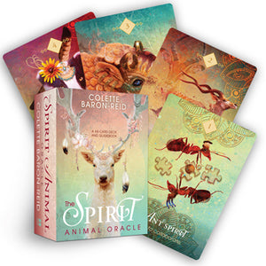 oracle cards