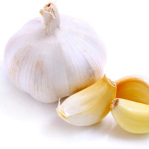 pure garlic essential oil 