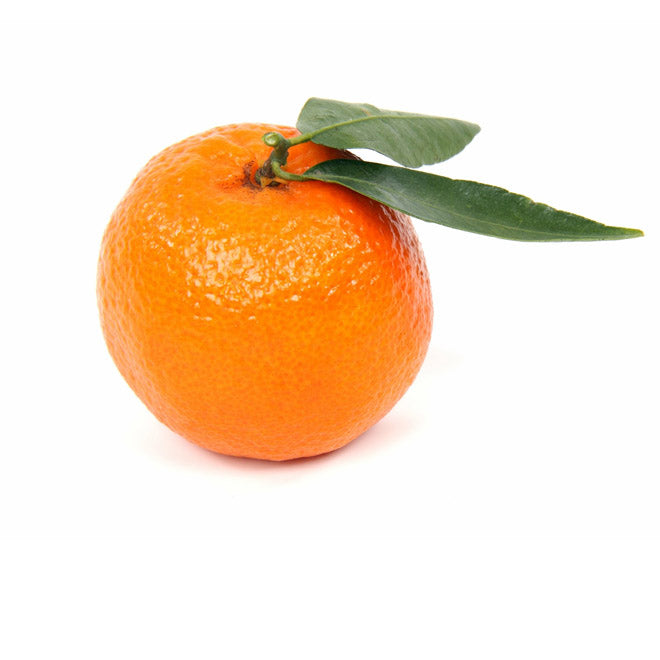 pure mandarin essential oil