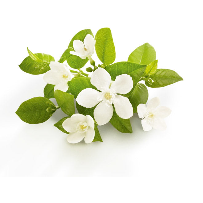 pure neroli essential oil