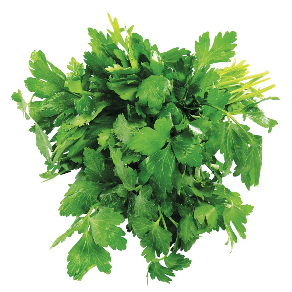 Parsley