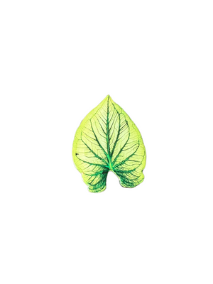 green leaf phone grip