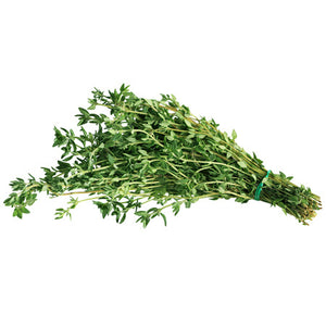 Thyme Pure essential oil
