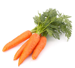 pure carrot macerated essential oil