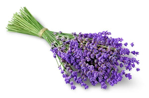 pure lavender essential 