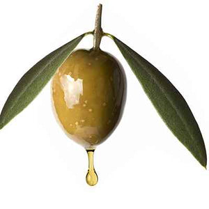 olive squalane, not like olive oil. used for moisturizer and many other things