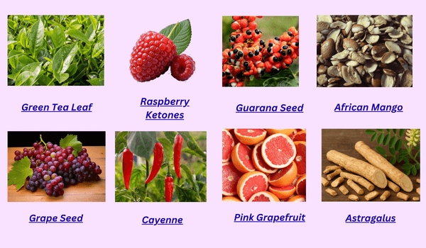 Glycovit Ingredients