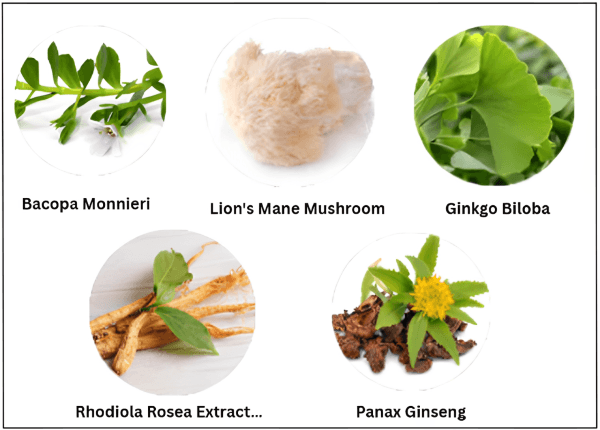 Memora Ingredients