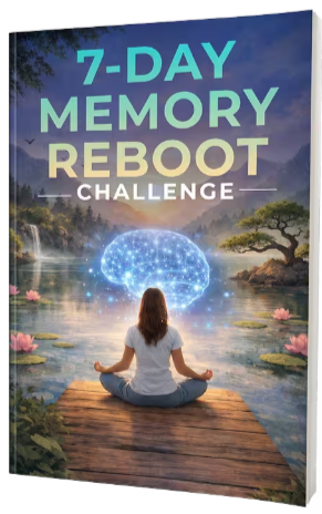 The Memory Masters Protocol Bonus 4