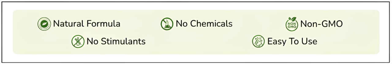 Mindquell Certification
