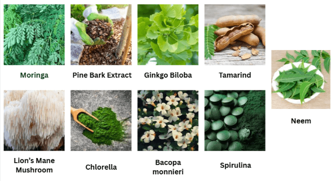 Mindquell Ingredients