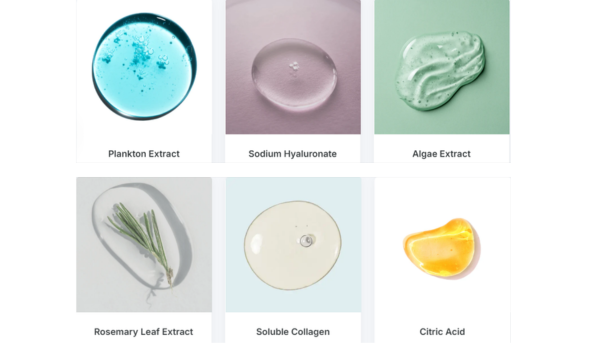 South Beach Collagen Filler Serum Ingredients