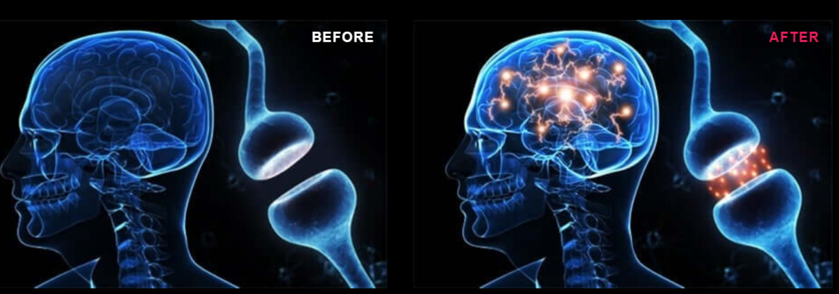 SynapticXR Brain