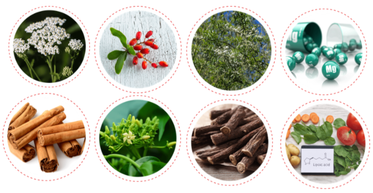ZUCORYN Blood Pressure Ingredients